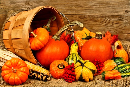 Halloween ...